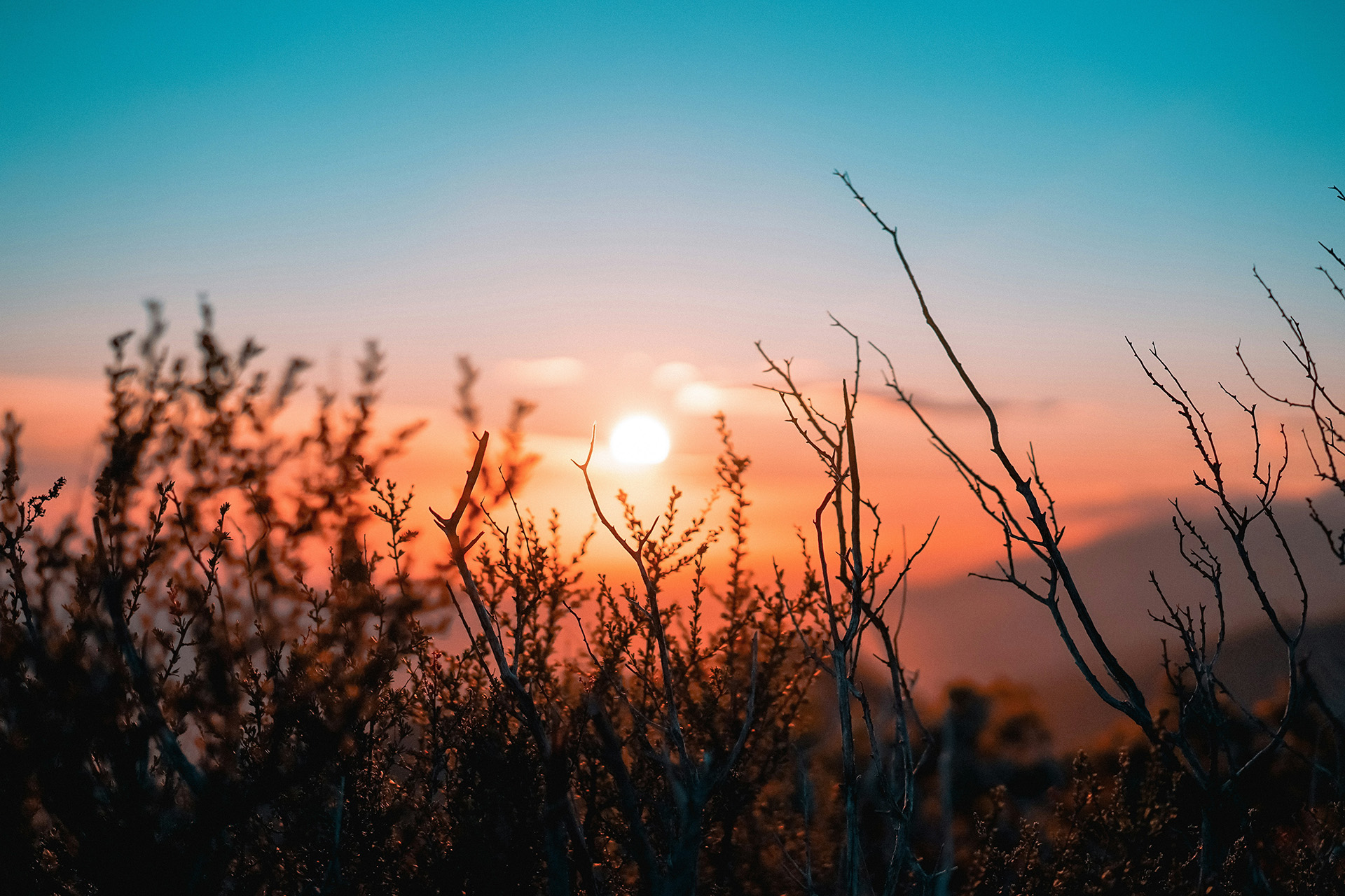 psicoterapeuta travaco siccomario
